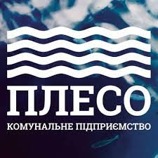 Плесо